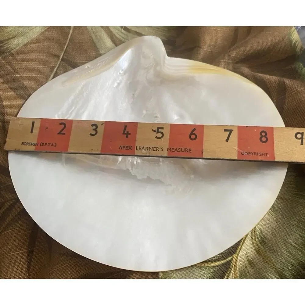 Vintage Exquisite Natural Mother of Pearl Shell Footed Caviar Serving Dish 8.5